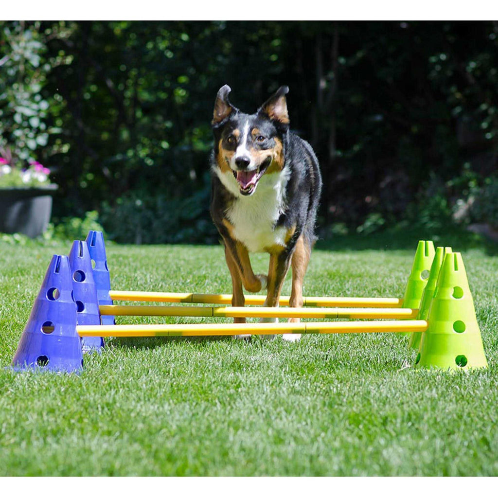 Dog Agility Kit G107870