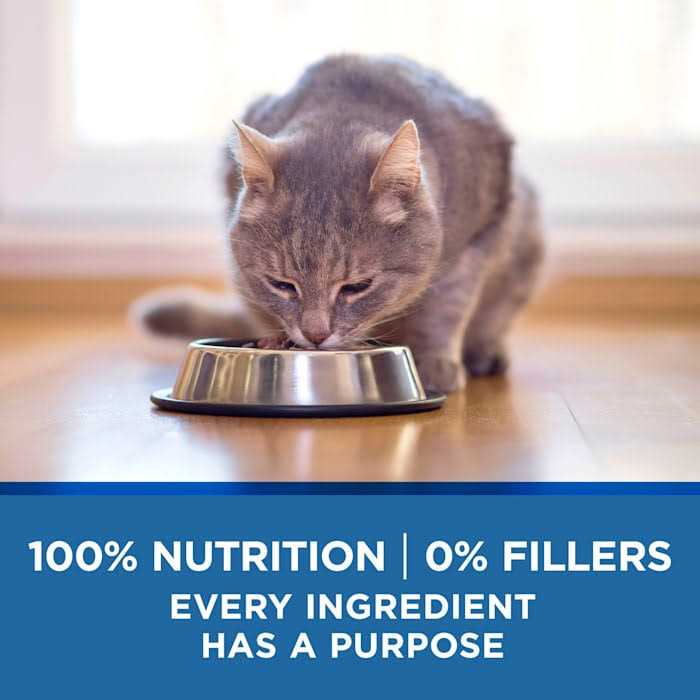 Chicken & Ocean Wet Cat Food S18092