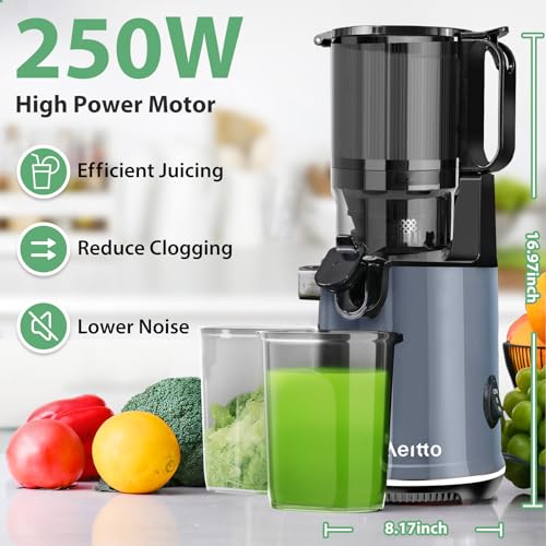 Black Cold Press Juicer with Extra Large Feed Chute D218571