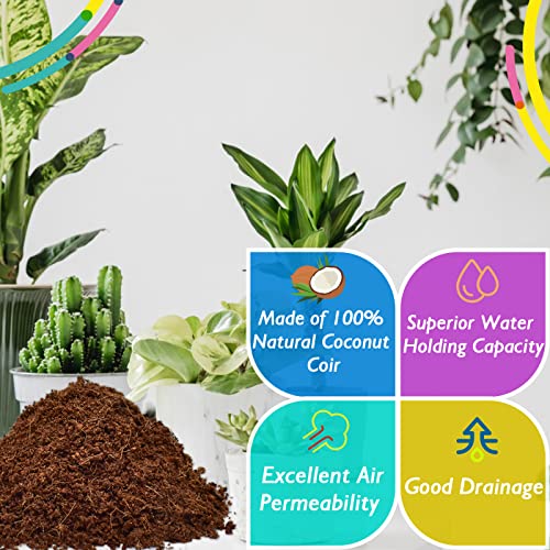 6PCS Organic Coconut Coir Bricks Potting Soil O825959