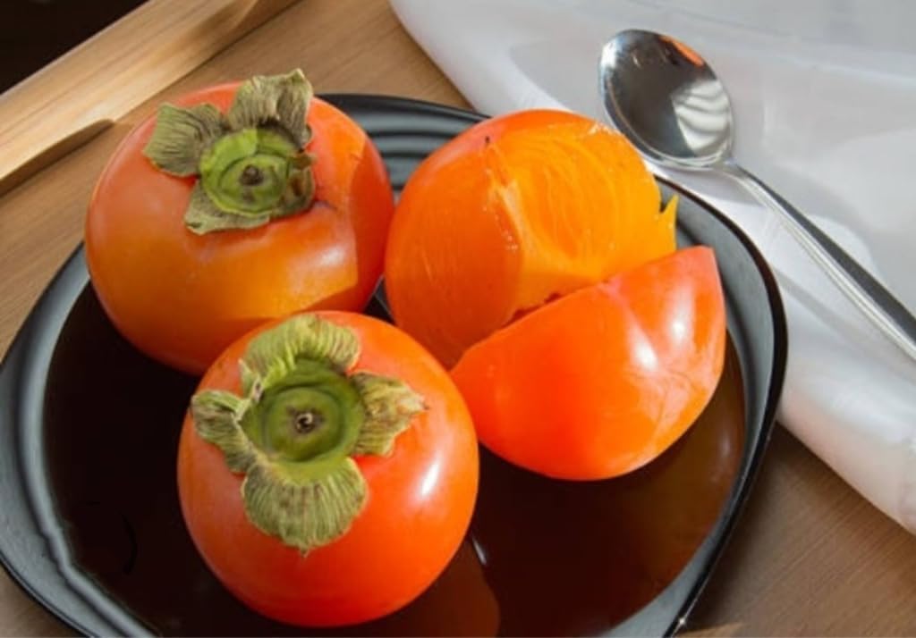 120 Seed Japanese Persimmon Seeds for Planting Y70444